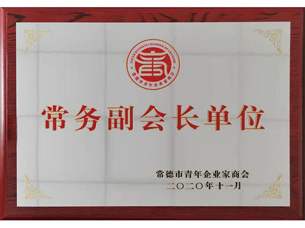 常德市青年企业家商会常务副会长单位