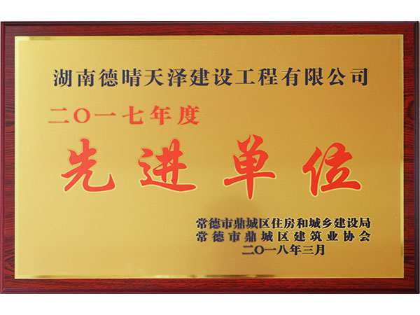 2017年度鼎城协会先进单位2018年3月颁发